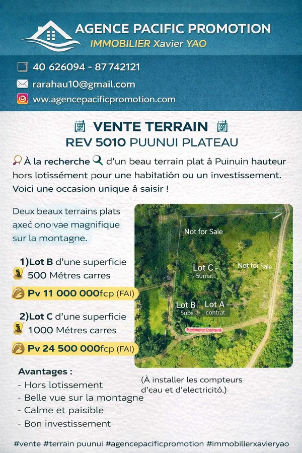 À VENDRE TERRAIN TOAHOTU PUUNUI PLATEAU DES ANANAS