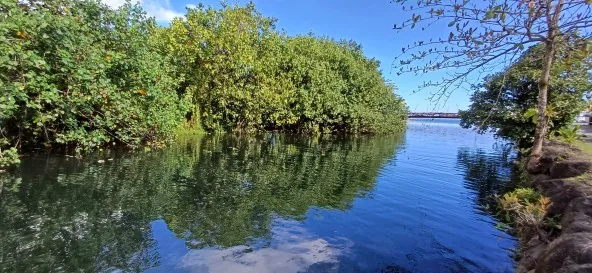 TEAHUPOO - Vague Mythique : Jolie Maison F2 - Neuve, Climatisée sur pilotis de 60m² dans une Servitu