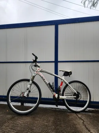Vend vtt specialized carbone
