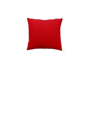 Lot 2 coussins rouges