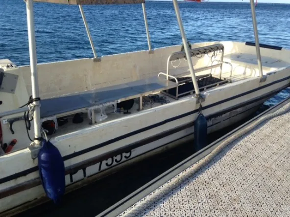 Catamaran moteur