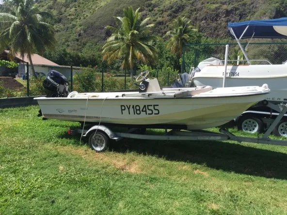 Vends bateau Polyforme 15,5 pieds