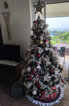 Sapin de noel et decorations
