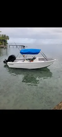 Vend 15' alu quintrex