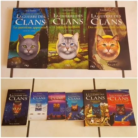 Livres Grand format Guerre des clans