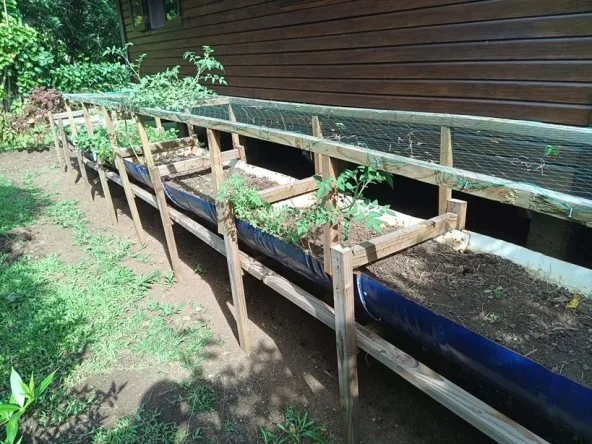Vend à Moorea : jardin suspendu de 8m de long fabriqué en demi touques