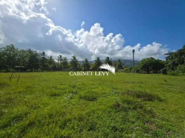À VENDRE : TERRAIN DE 800 M² À TOAHOTU – VIABILISATION FACILE – PROCHE TARAVAO