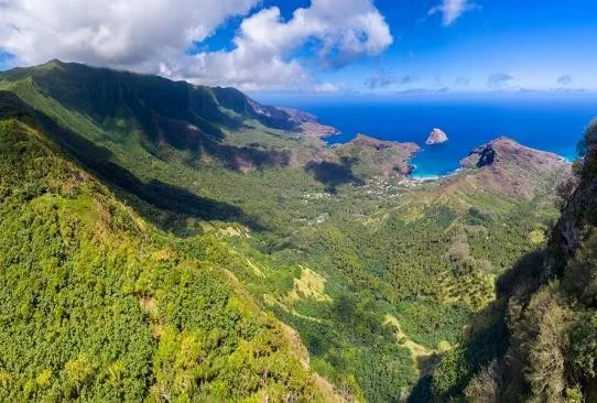 LOT de 5 terrains aux Marquises 33.5 hectares