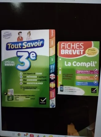 Lot 2 livres niveau collège