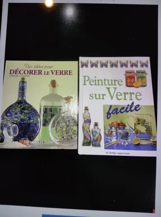 Lot 2 livres d'activités peinture sur verre