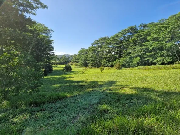 Dernières opportunités – Terrains constructibles à partir de 800 m² (vb) réf 735