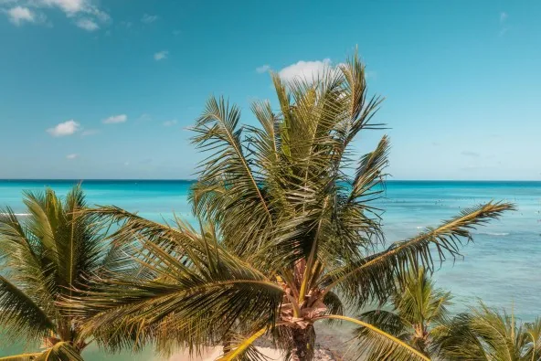 TUAMOTU, A VENDRE EN EXCLUSIVITE SUR TIKEHAU, TERRAIN 10 HECTARES BORD DE MER COTE OCEAN
