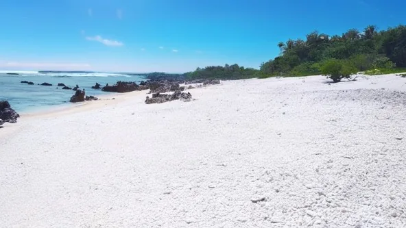 TUAMOTU, A VENDRE EN EXCLUSIVITE SUR RANGIROA, TERRAIN DE 4,9 hectares BORD DE MER