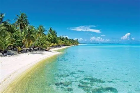 TUAMOTU, A VENDRE EN EXCLUSIVITE SUR TIKEHAU, TERRAIN 4 HECTARES BORD DE LAGON