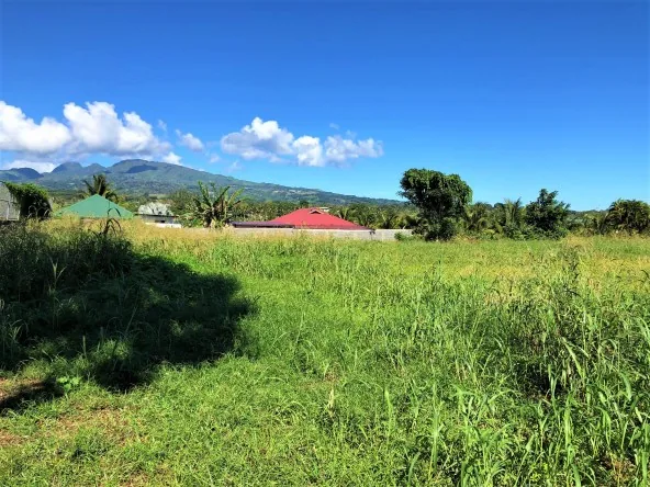 TARAVAO, A VENDRE BEAU TERRAIN PLAT DE 1385 M²