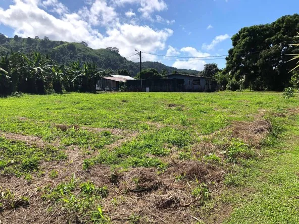 MATAIEA, A VENDRE, BEAU TERRAIN PLAT DE 800 M²
