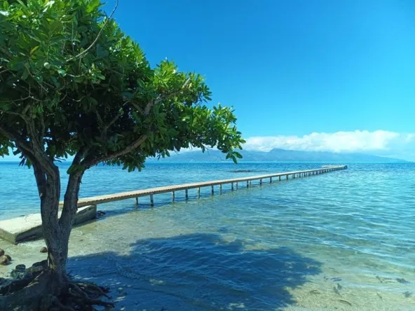 Location Annuelle Moorea