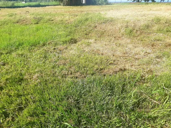 PAPARA, BEAU TERRAIN PLAT, PRET A CONSTRUIRE