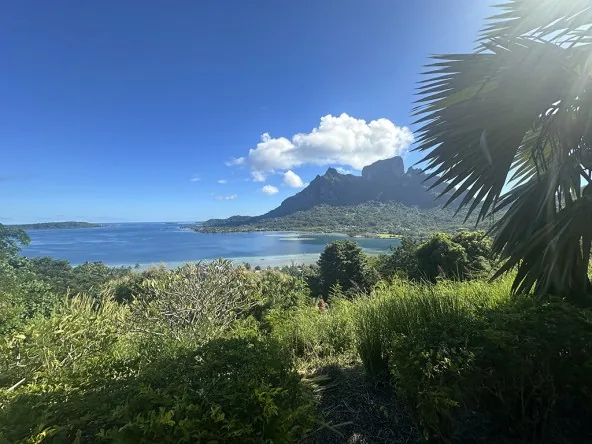OL - EXCLUSIVITE BORA BORA TERRAIN AVEC VUE MAGNIFIQUE