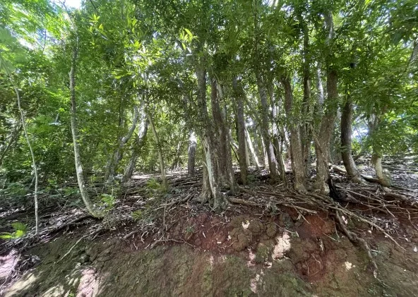 A VENDRE TERRAIN DE 1396M² A 28.600.000 FCP