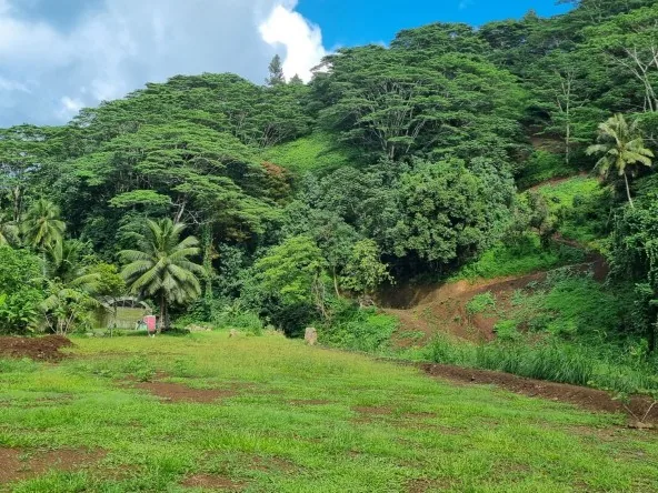 Papeari terrain dans un écrin de verdure Réf : 2026/015