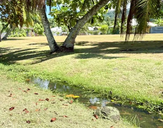 TERRAIN AVEC RUISSEAU A VENDRE - MATAIEA