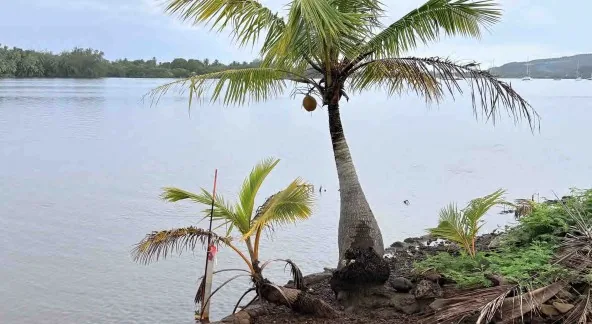 BORD DE MER - AFAAHITI