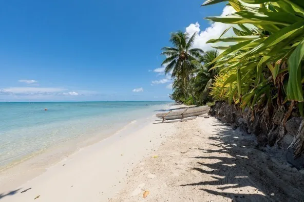 GRANDE PROPRIÉTÉ 3250M2 BORD DE PLAGE - VM21950