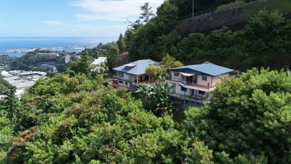 ENSEMBLE IMMOBILIER, 4 LOGEMENTS HABITATION ET PROFESSIONEL - VM21958