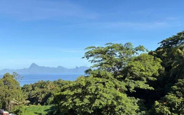 Beau studio à Punaauia