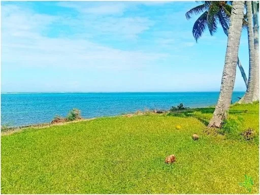PAPARA, GRAND TERRAIN PLAT, BORD DE MER